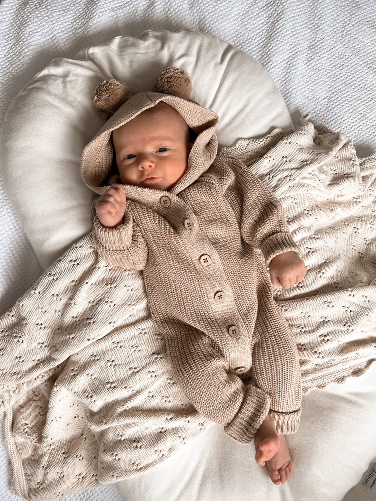 Classic Hoodie ~ Cacao - Little B's