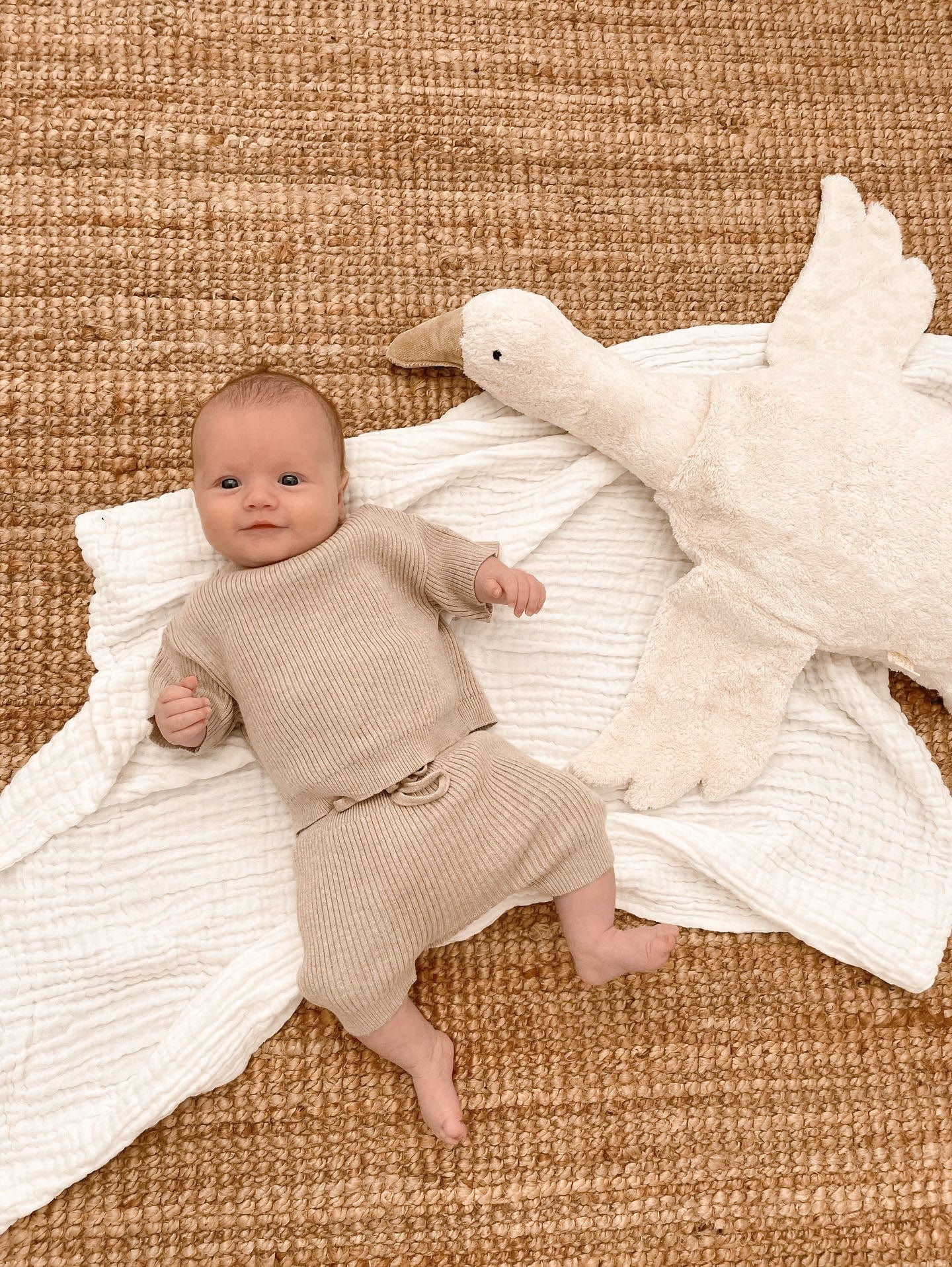 Knitted Cotton Fine Rib Shirt Set - Oak