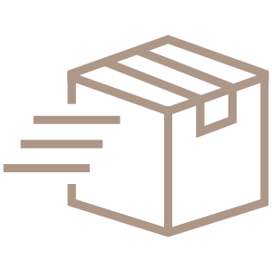 Fast delivery icon