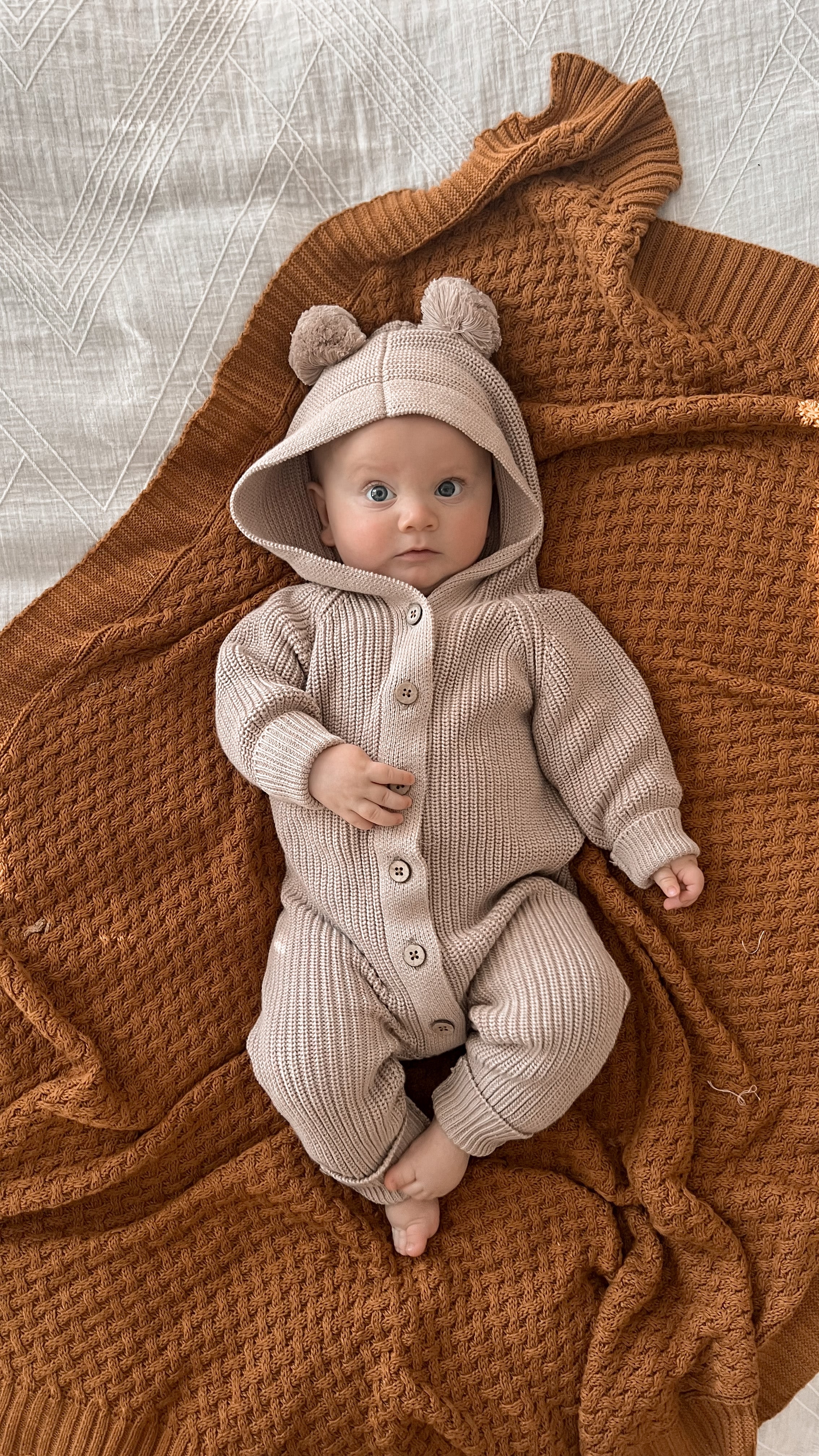 Classic Hoodie ~ Cacao - Little B's 
